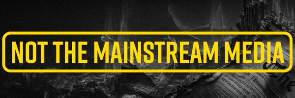 notthemsm01 Profile Banner
