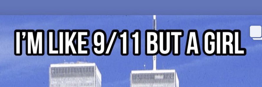 Emily Brummer banner