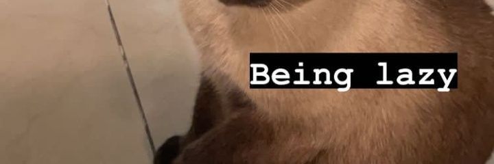 beccauwu's profile banner image