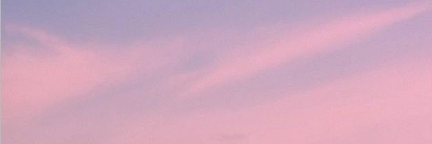 sunflowerlaxr's profile banner image
