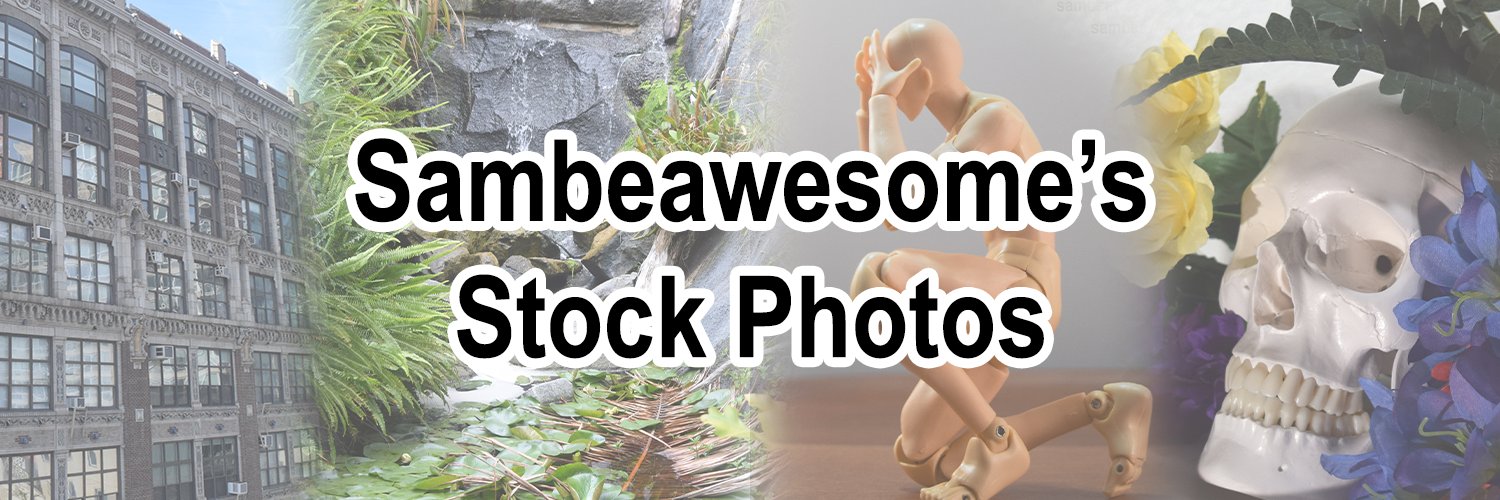sambestock's profile banner image