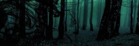 drdidactic's profile banner image