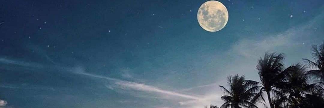 opswhatever_'s profile banner image