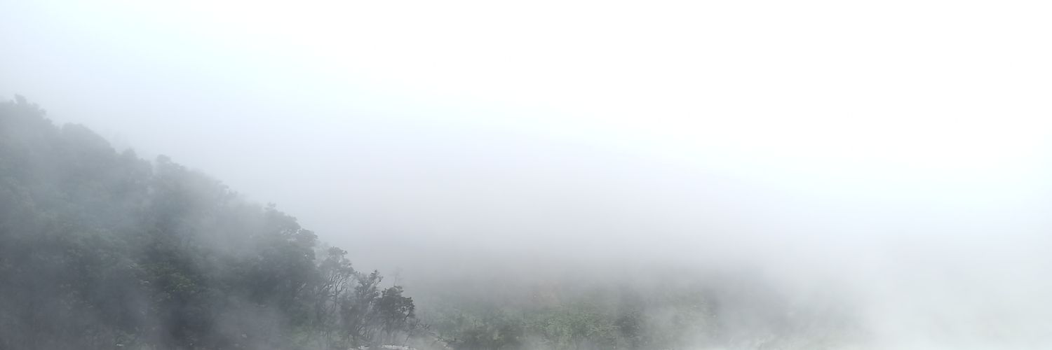 melestri's profile banner image