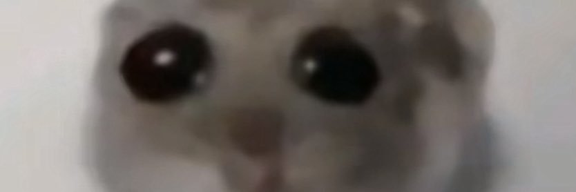 tL banner