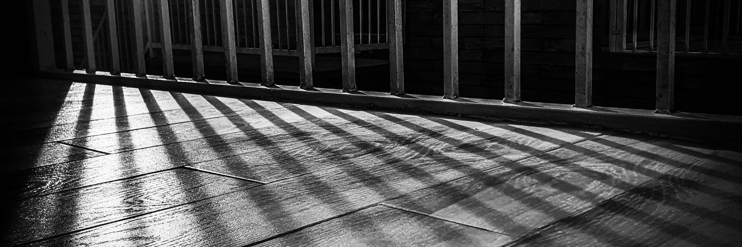 tinybinges's profile banner image