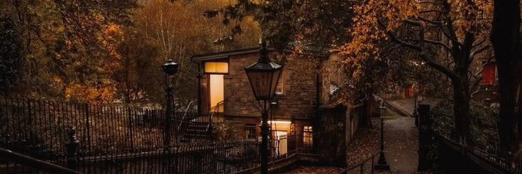 Vins 🇧🇪🐾 banner