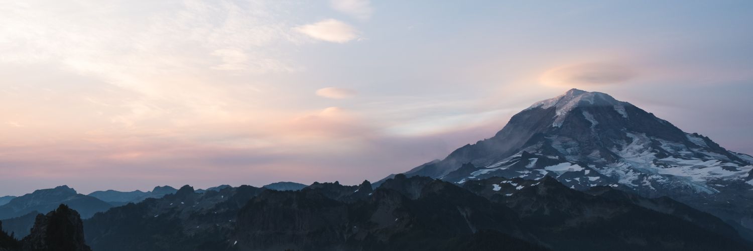 aliceetrann's profile banner image