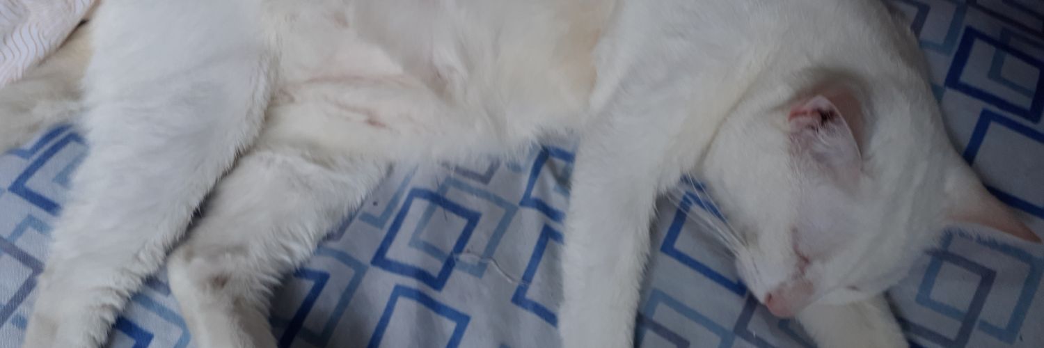 atemisab's profile banner image