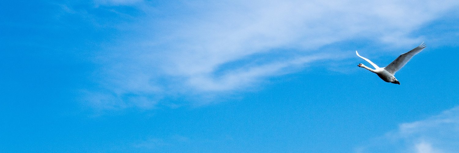 Peter|877800.b ❤️ 'Reddio' banner