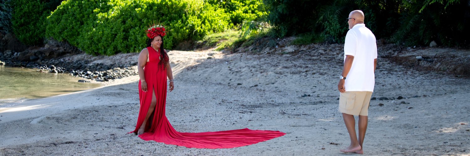 flyingdressanu's profile banner image