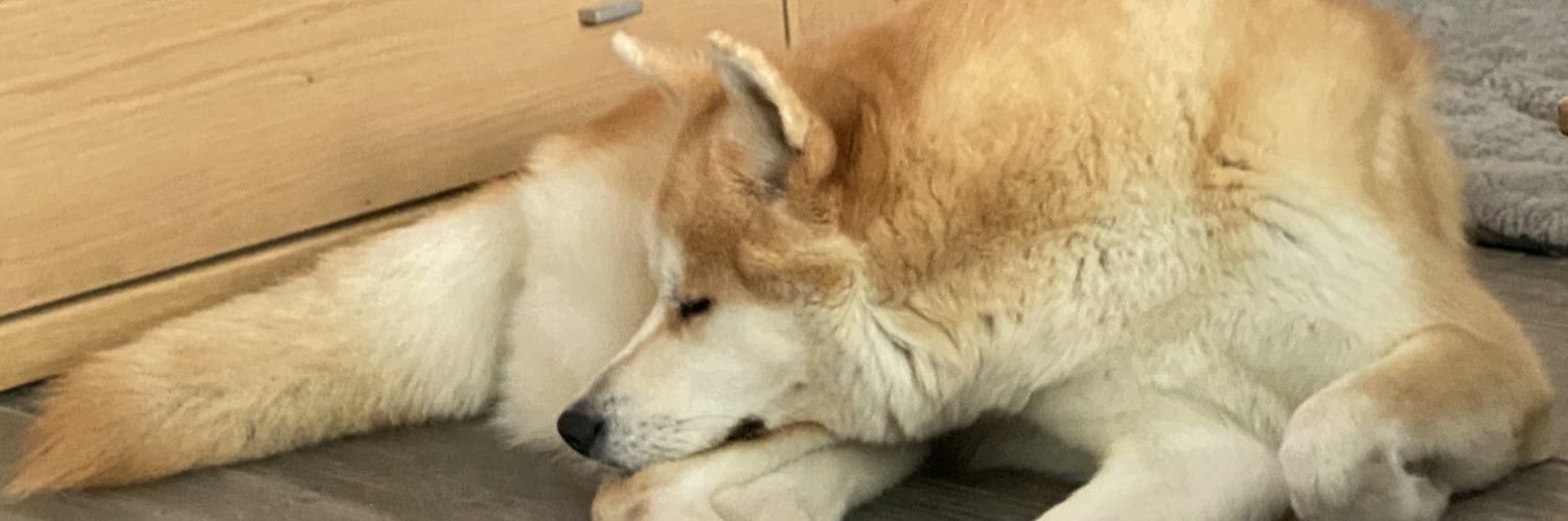 geekess's profile banner image