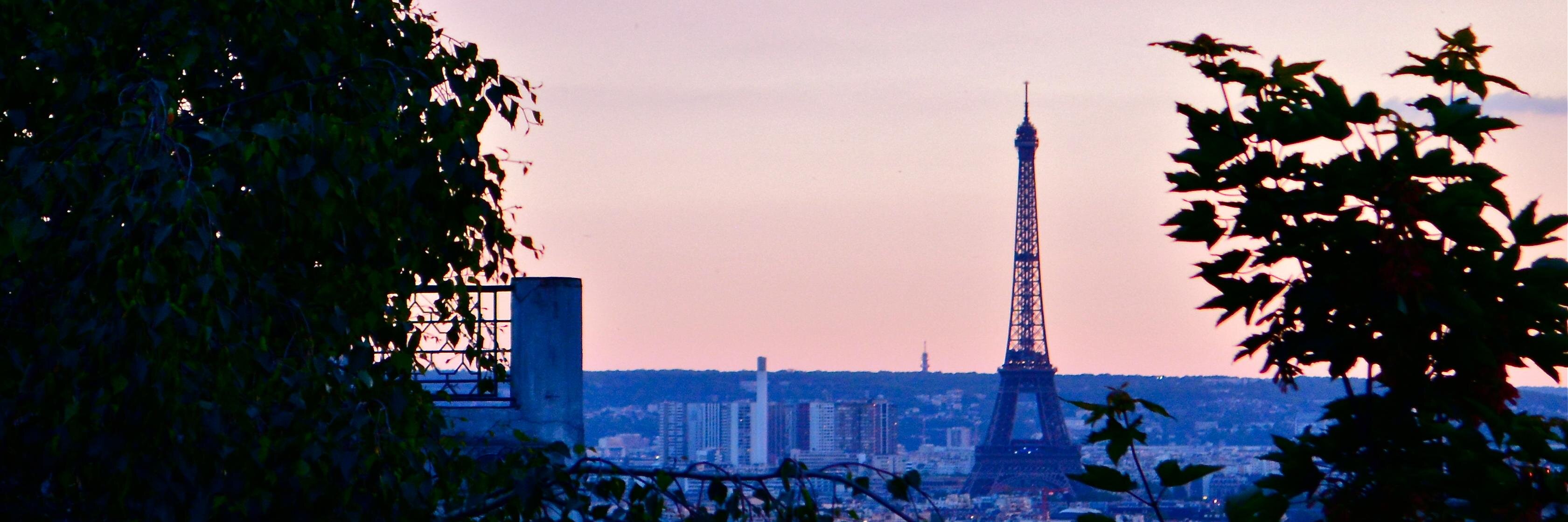 Gesche Wüpper banner