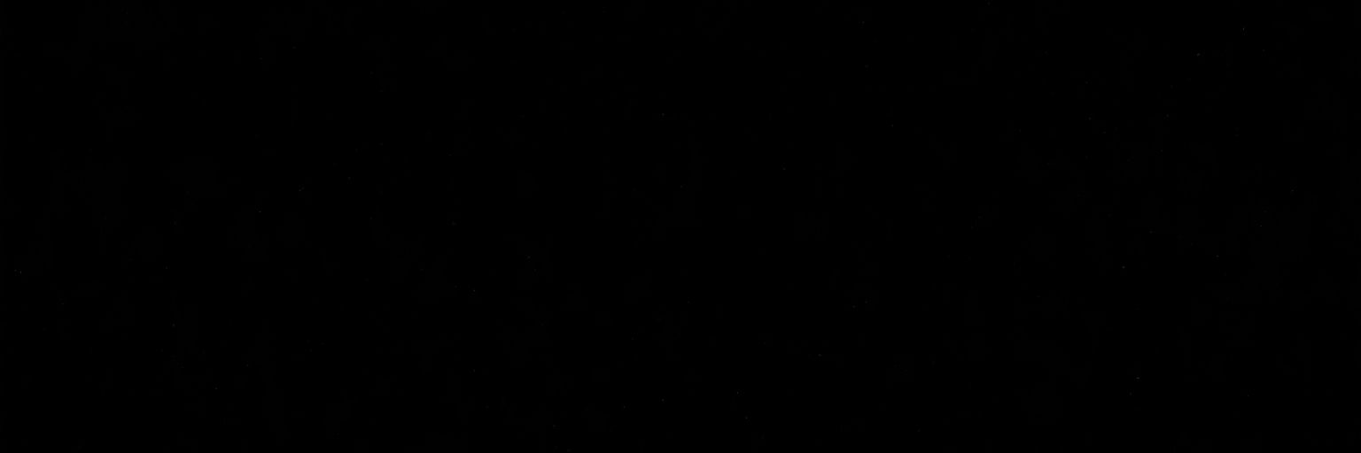 Vikingeer banner