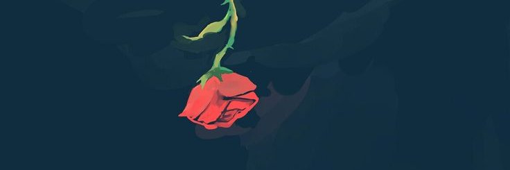 esrayrc's profile banner image