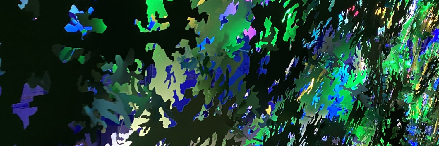 Tracy Flanagan banner