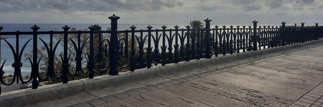 Carles banner