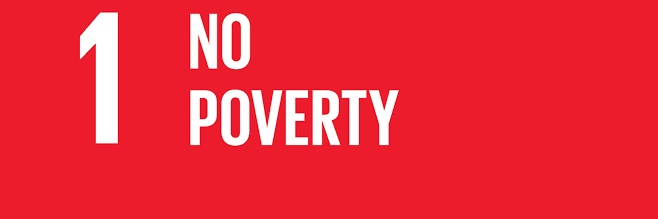Skill to Empower Initiative banner