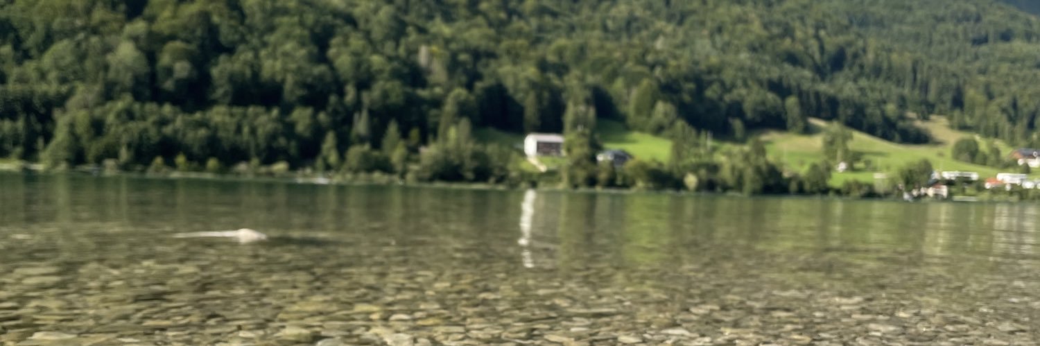 X+ banner