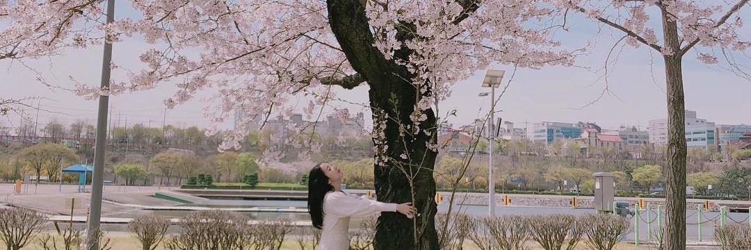 Bijkeun's profile banner image
