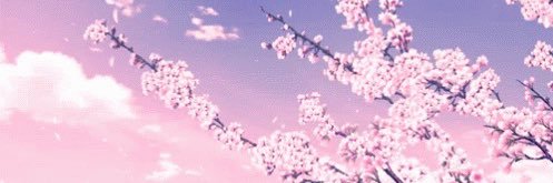 —— myra banner