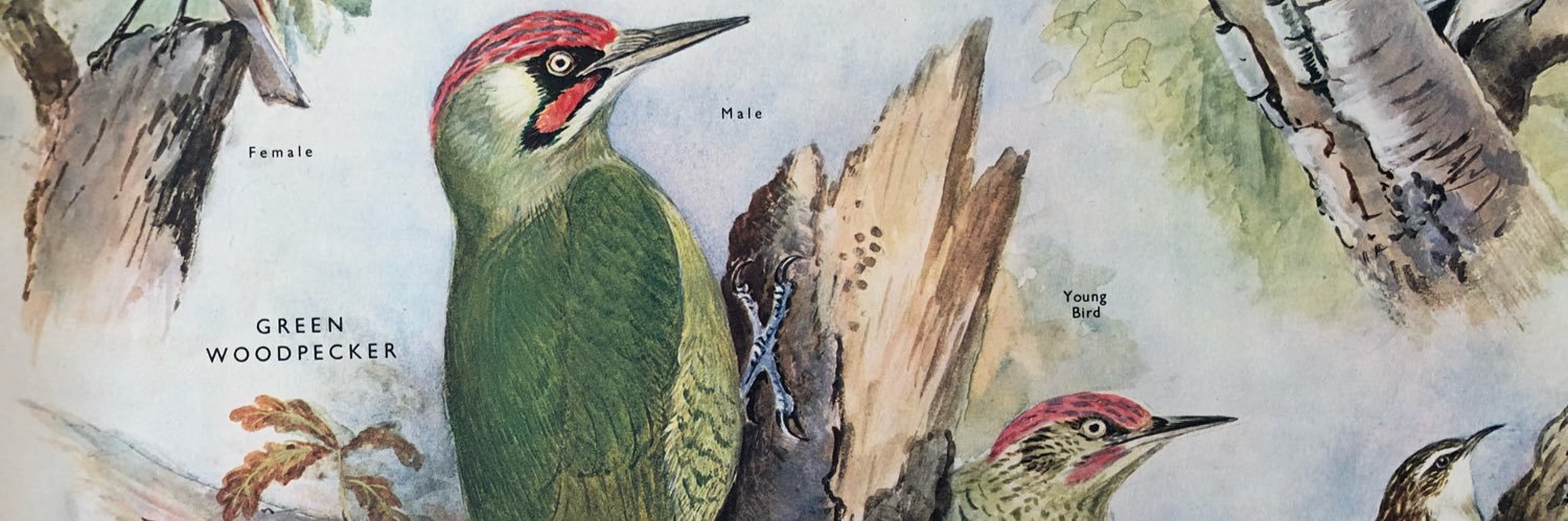 pedlargreene's profile banner image
