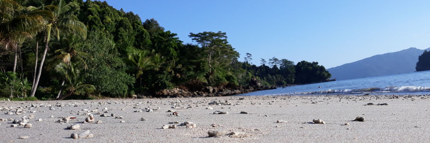 anggiafer's profile banner image