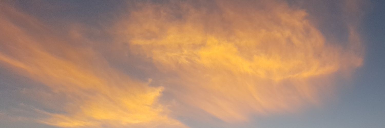 caitlin_d_'s profile banner image