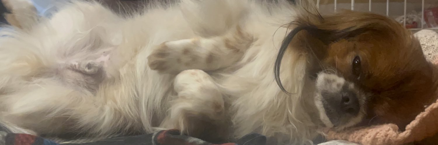 911fuuu's profile banner image