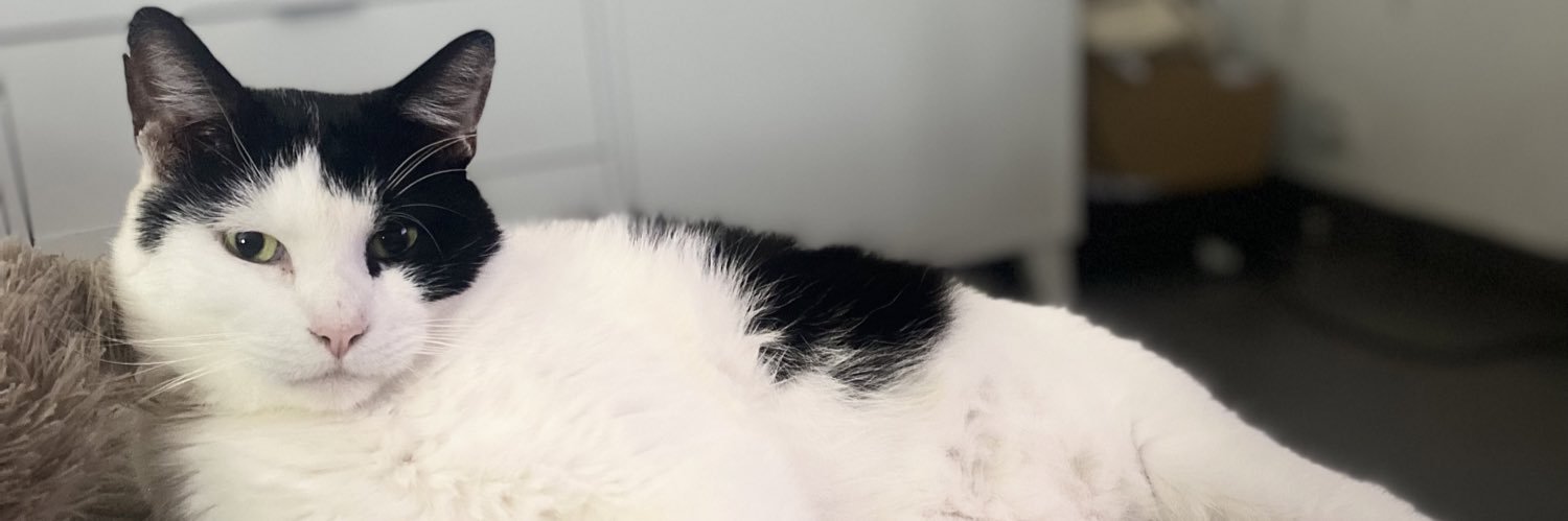 Valxxdono's profile banner image