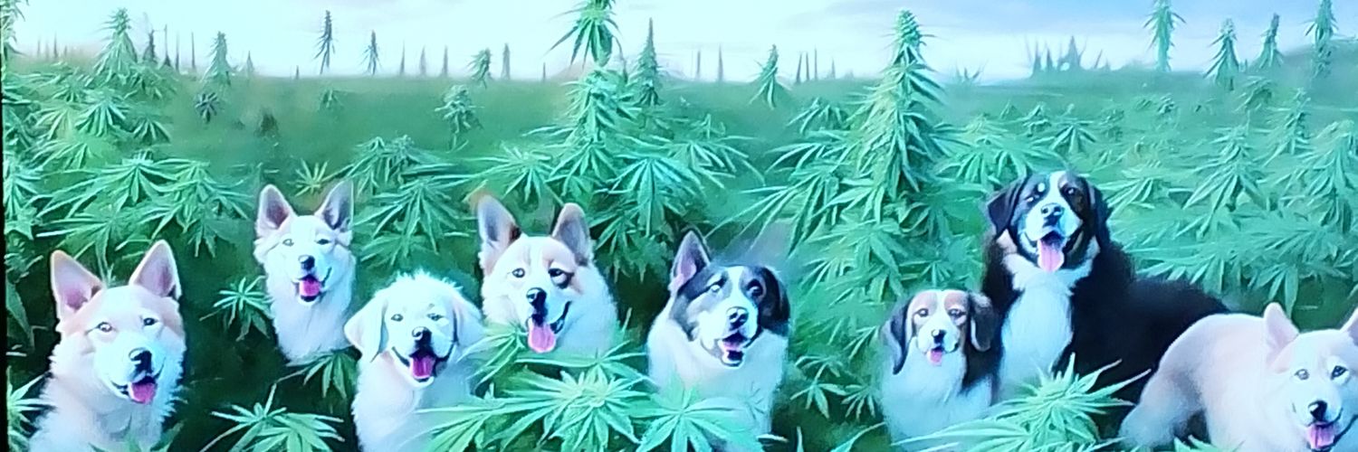 CraigHubert2's profile banner image