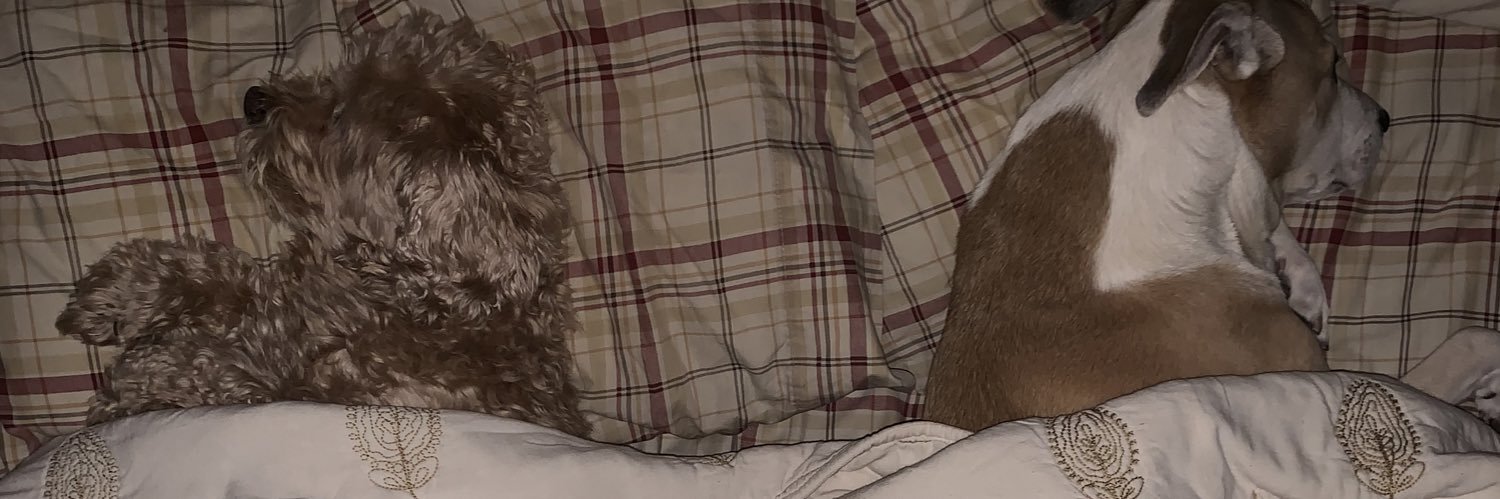 Stephanie Millán ✨ banner