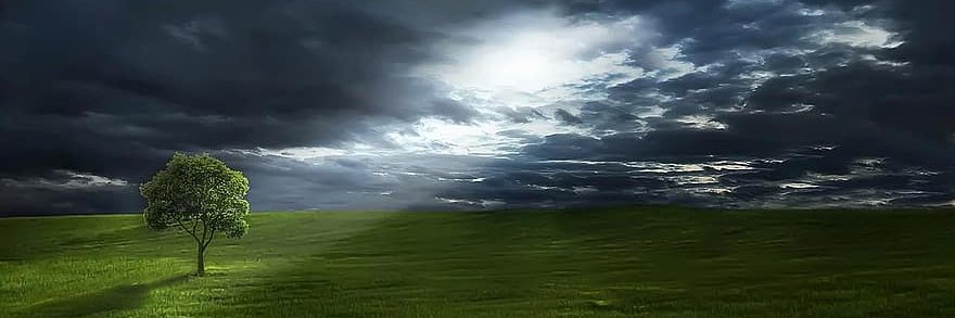 passwd666's profile banner image