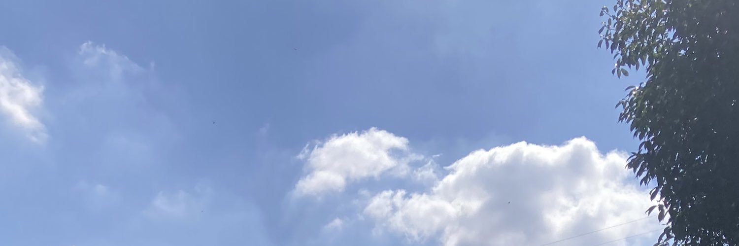 はなもち banner