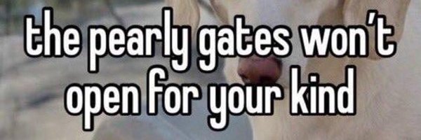 wen1_01 Profile Banner