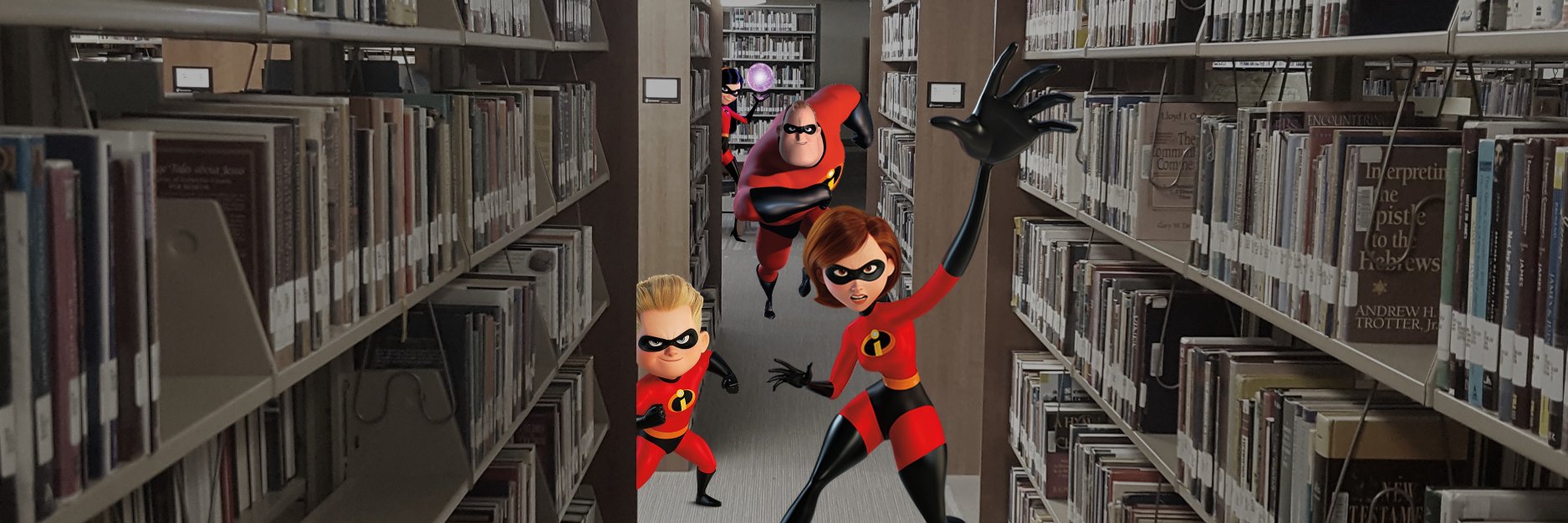 fhulibrary's profile banner image