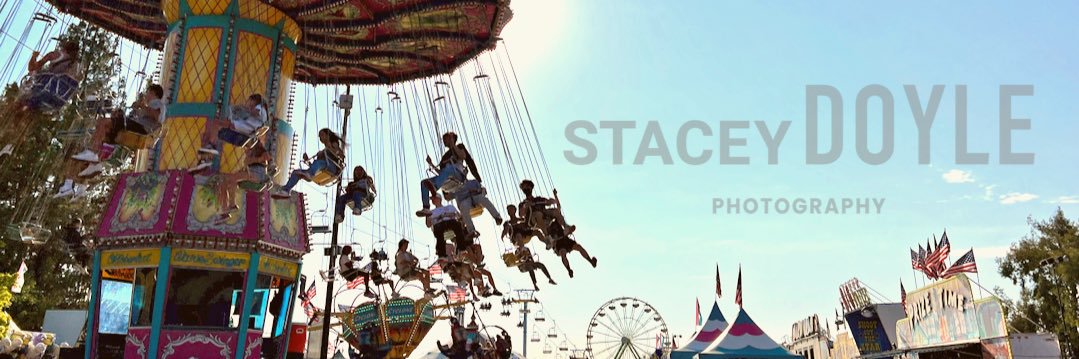 staceydoyle banner