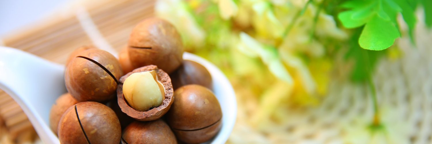 Nutri_Nuts's profile banner image