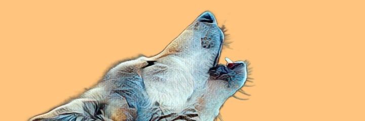 Gig_labs banner