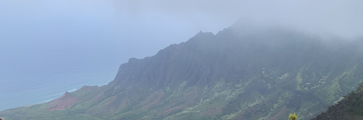 meaai4thought's profile banner image