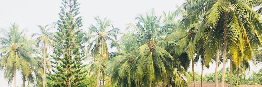 Talib Abubacker banner