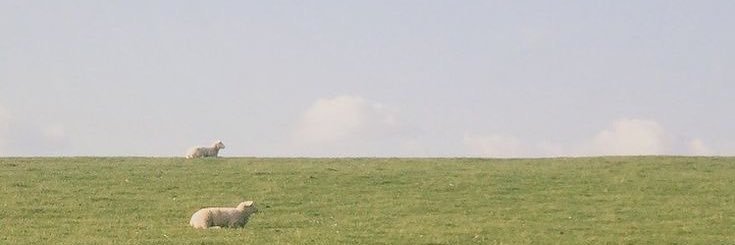 имушкина (янушкина) banner