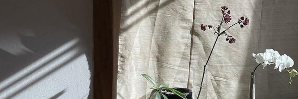 mymintcrw Profile Banner