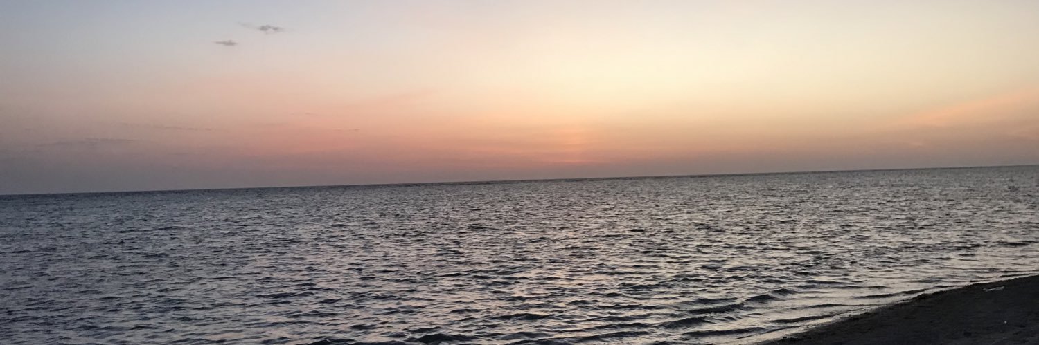 باسم الحربي banner