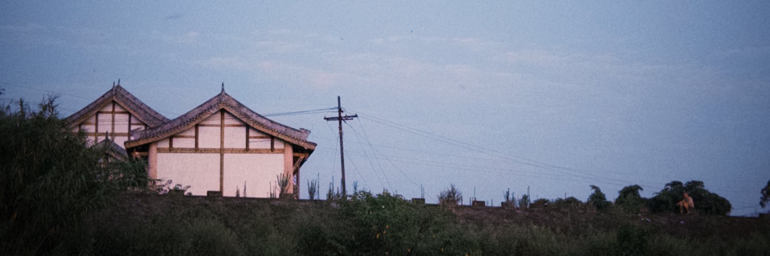 springfishleo's profile banner image
