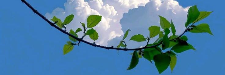 玄瓦達 banner