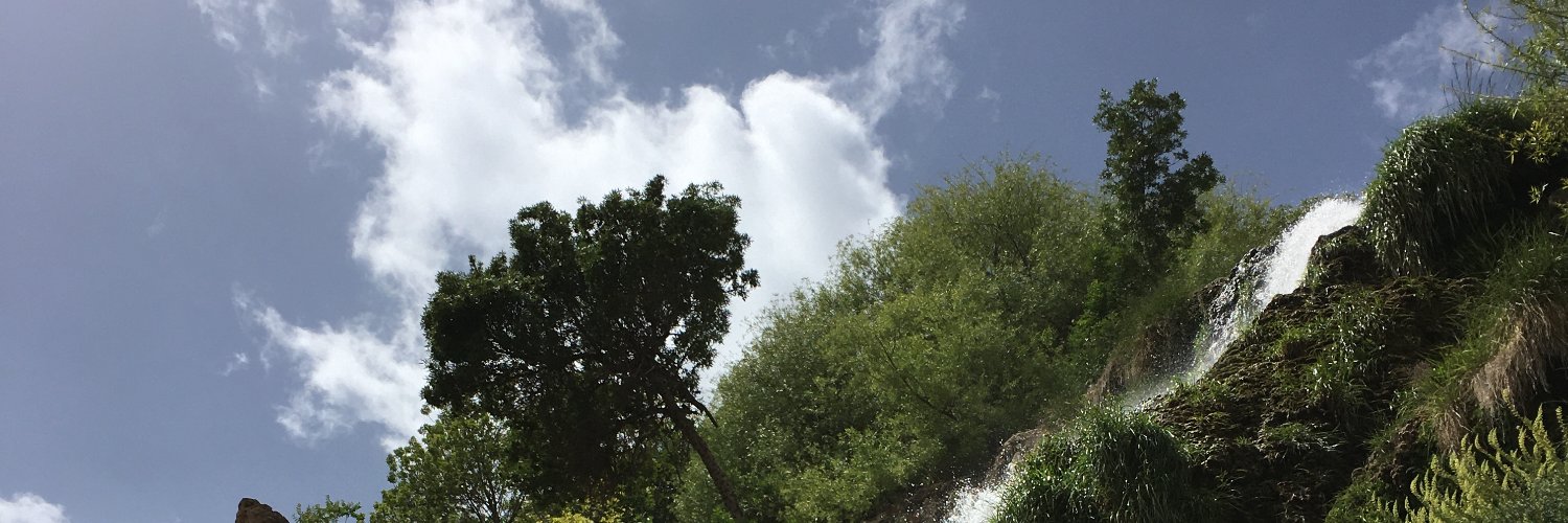 Dabdger_ws's profile banner image