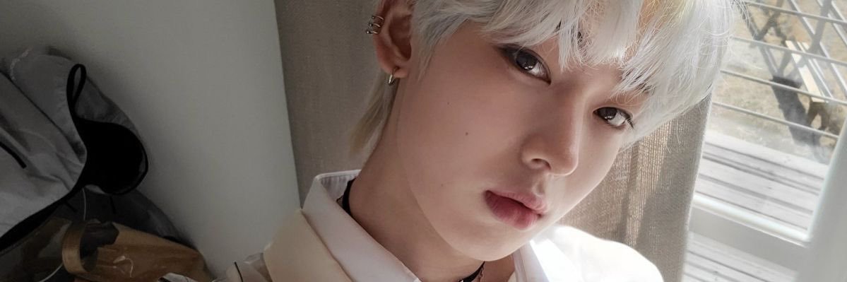 Ale 🐱 banner