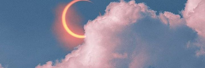 Char 🌸 banner