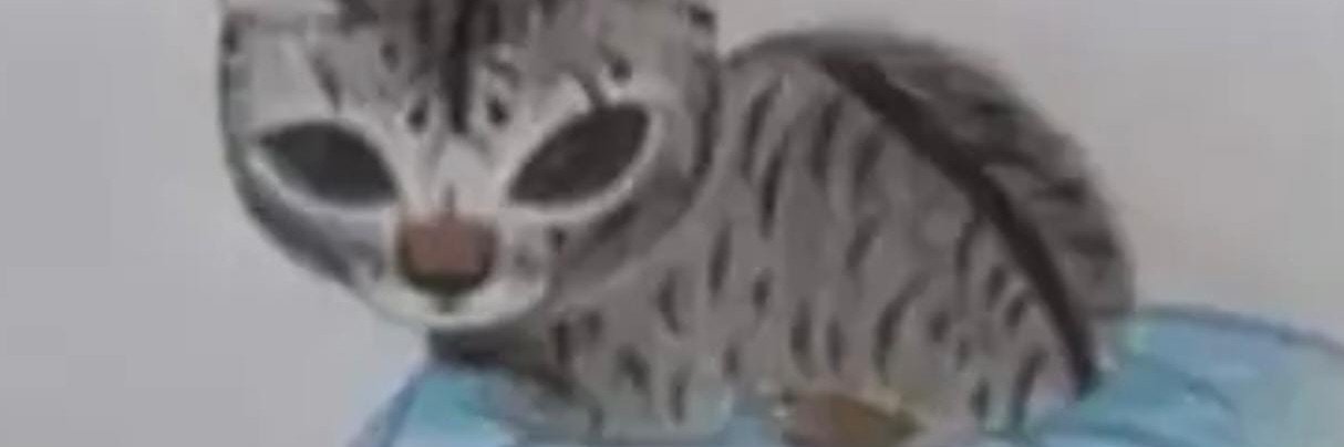 thiagotico62's profile banner image